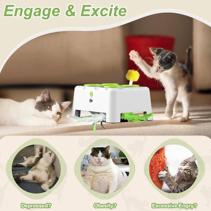Automatic Whack A Mole Interactive Cat Toy