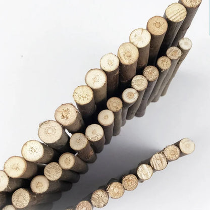 Natural Willow Bridge & Chew Toy for Small Pets