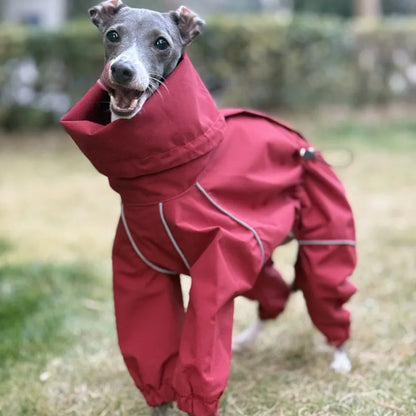Windproof Dog Raincoat