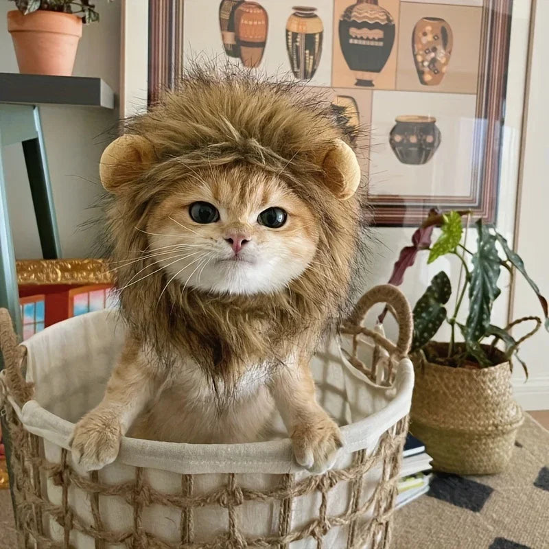 Lion Mane Costume for Cats & Dogs