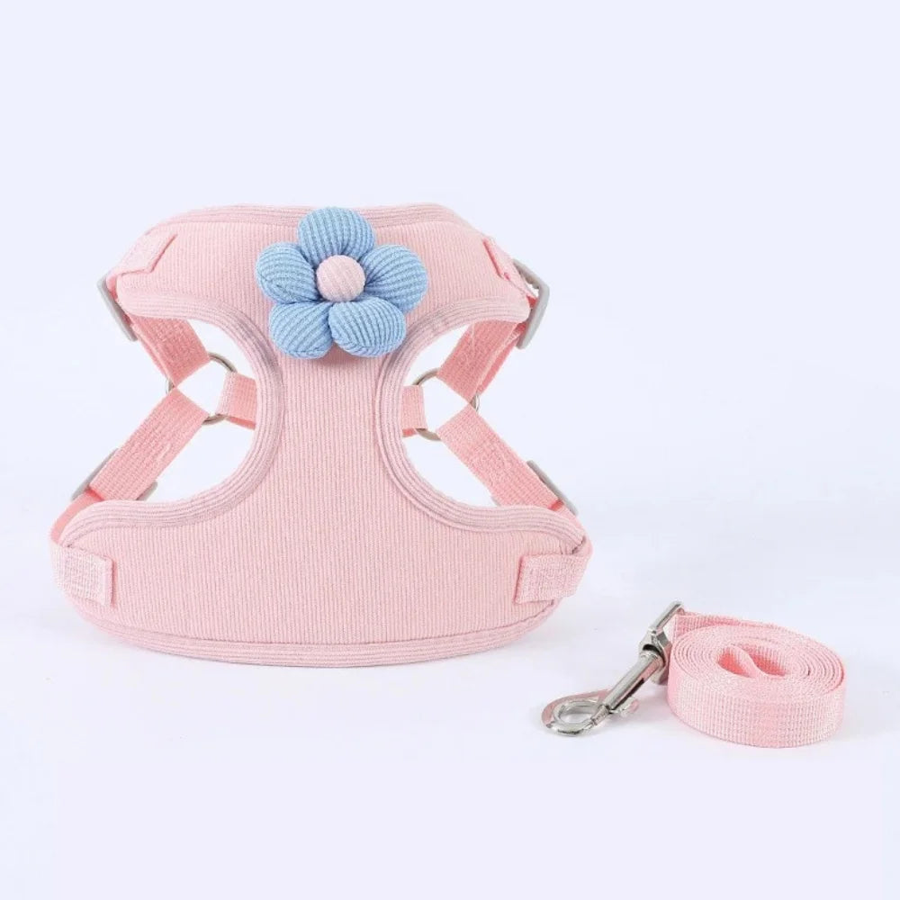 Adjustable Dog Harness with 1.5m Leash Set