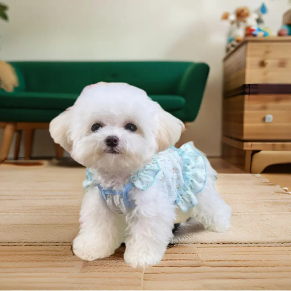 Cute Breathable Dog Summer Dress