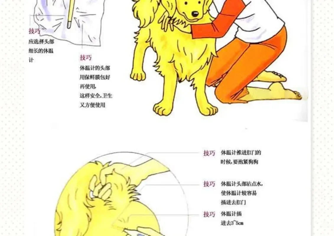 Professional Pet Digital Thermometer