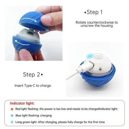 Automatic Interactive Dog Toy Ball