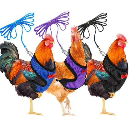 Adjustable Chicken Harness & Leash