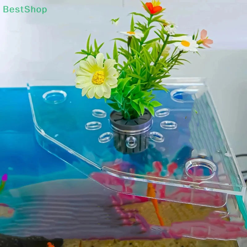 Aquarium Corner Storage Shelf for Plants & Accessories