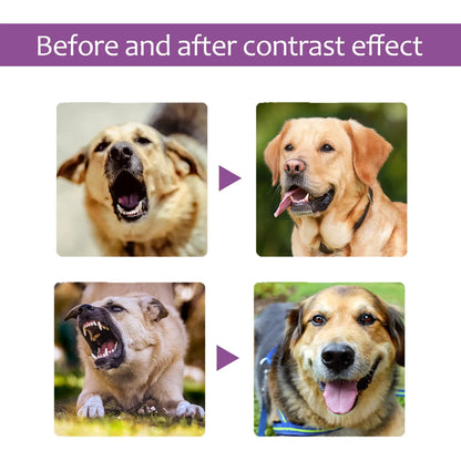 Pet Calming Spray for Cats & Dogs