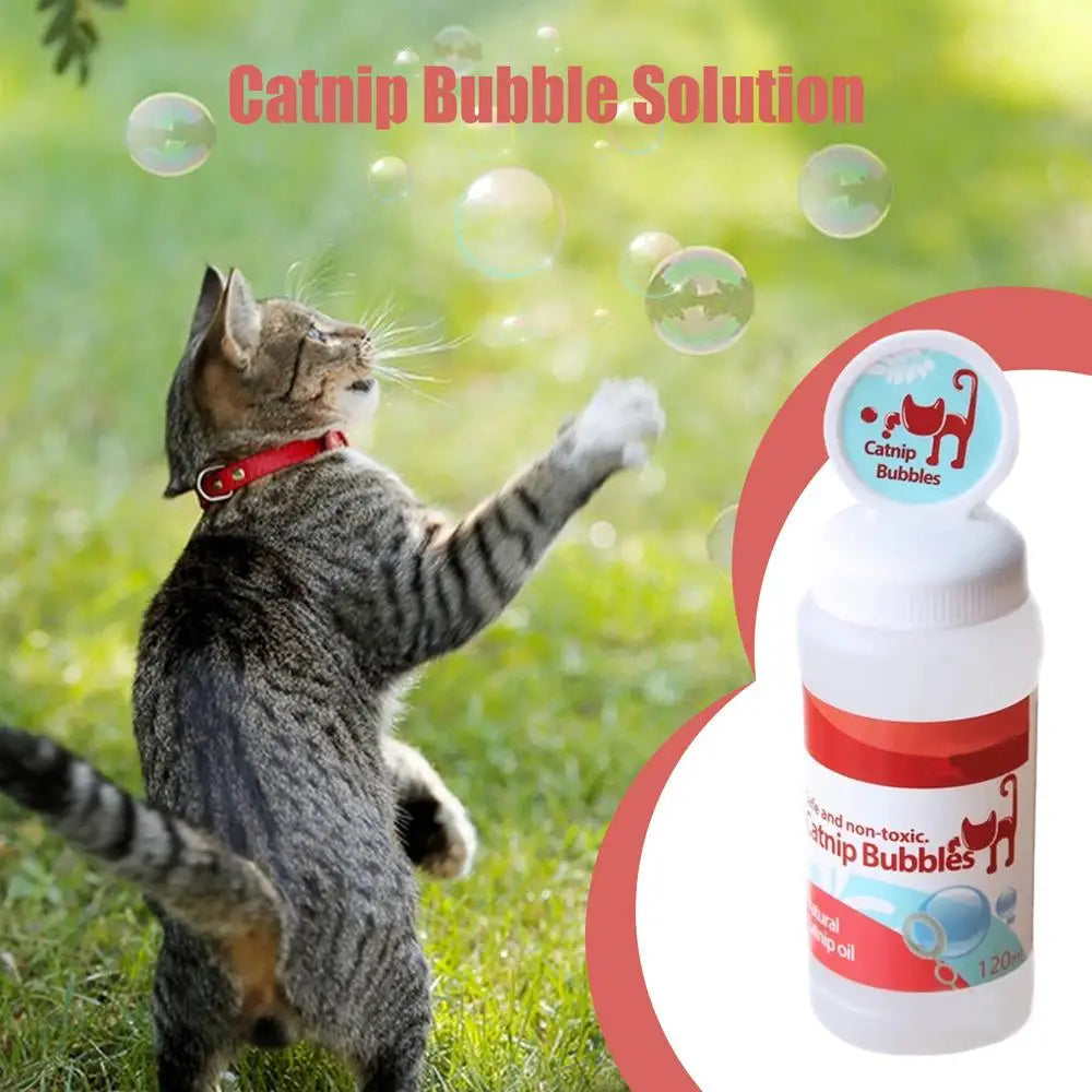 Catnip Infused Bubble Play Toy for Indoor & Outdoor Cats