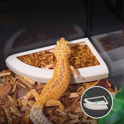Anti-Escape Reptile Feeding Bowl