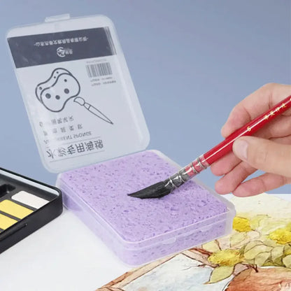 Watercolor Painting Sponge Set