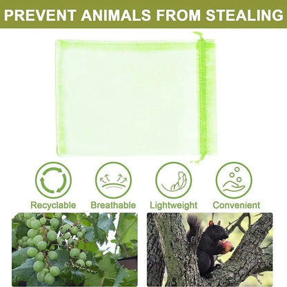 1-100Pcs Grapes Fruit Grow Bags