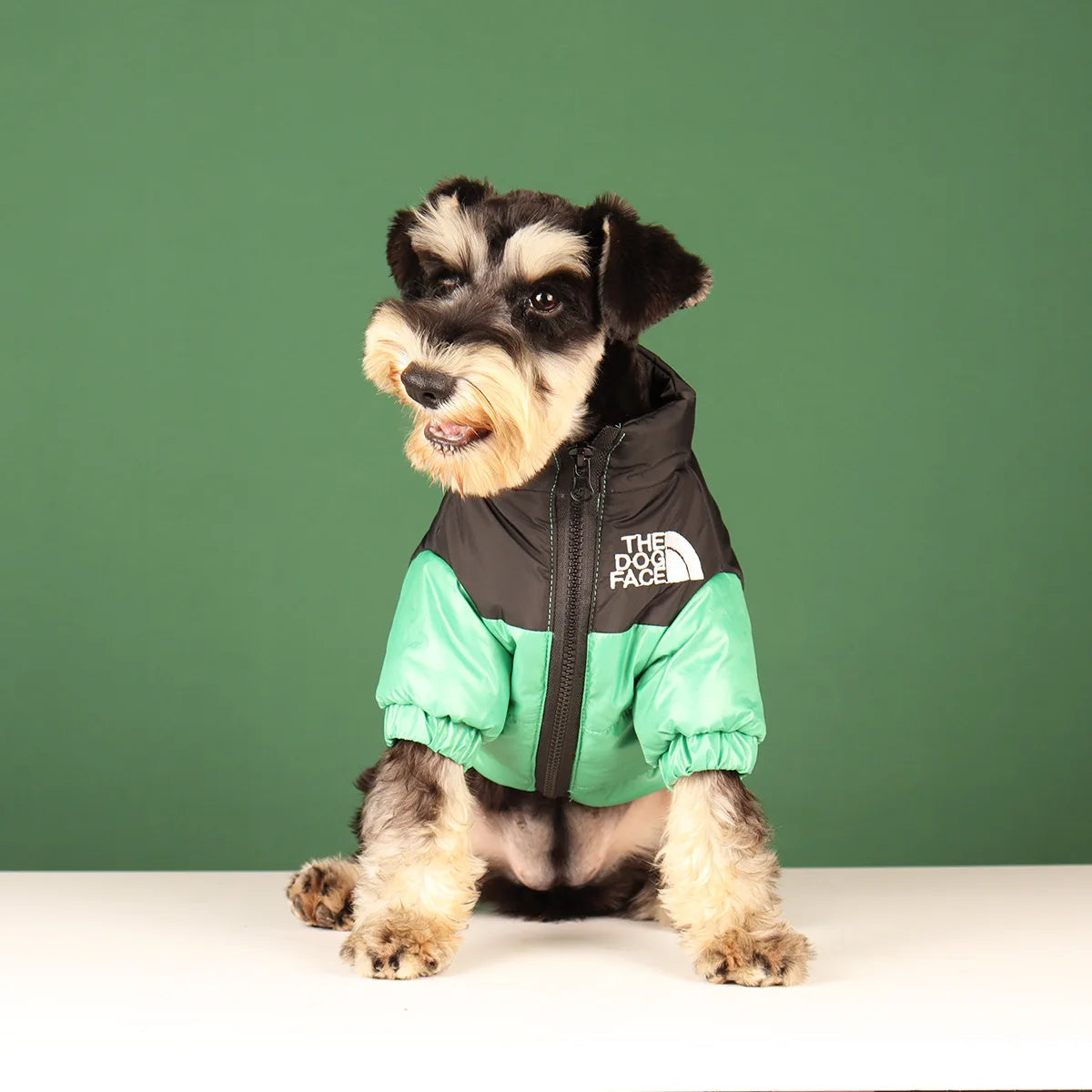 Large Reflective Dog Winter Jacket