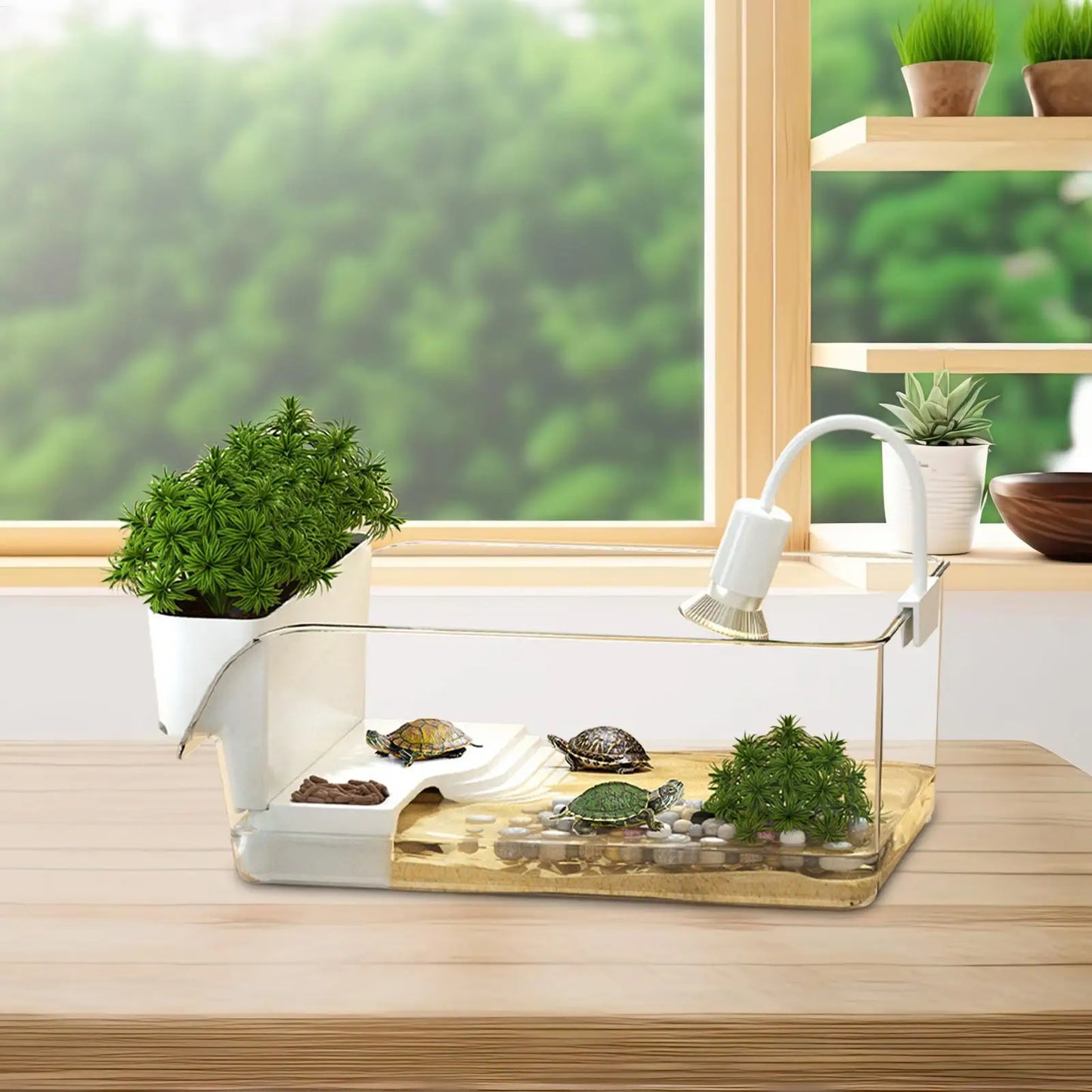Transparent Turtle Habitat Tank
