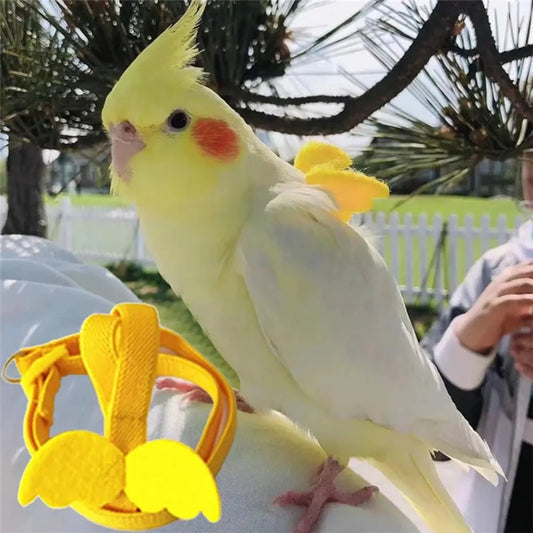Adjustable Bird Flight Harness & Training Leash