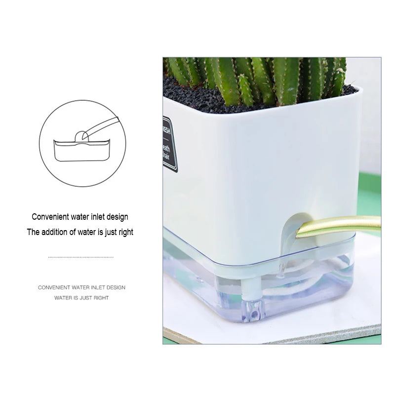Self-Watering Plant Pot