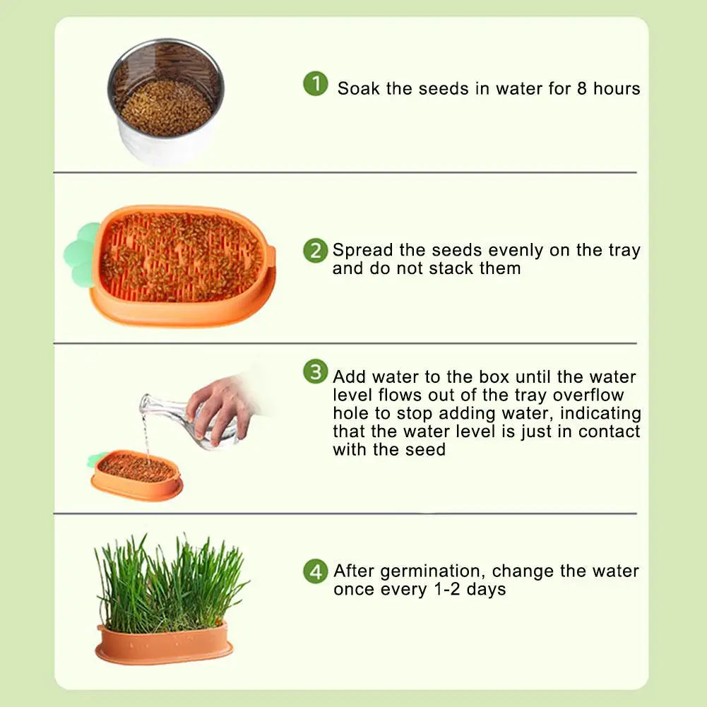 Carrot Cat Grass Growing Planter