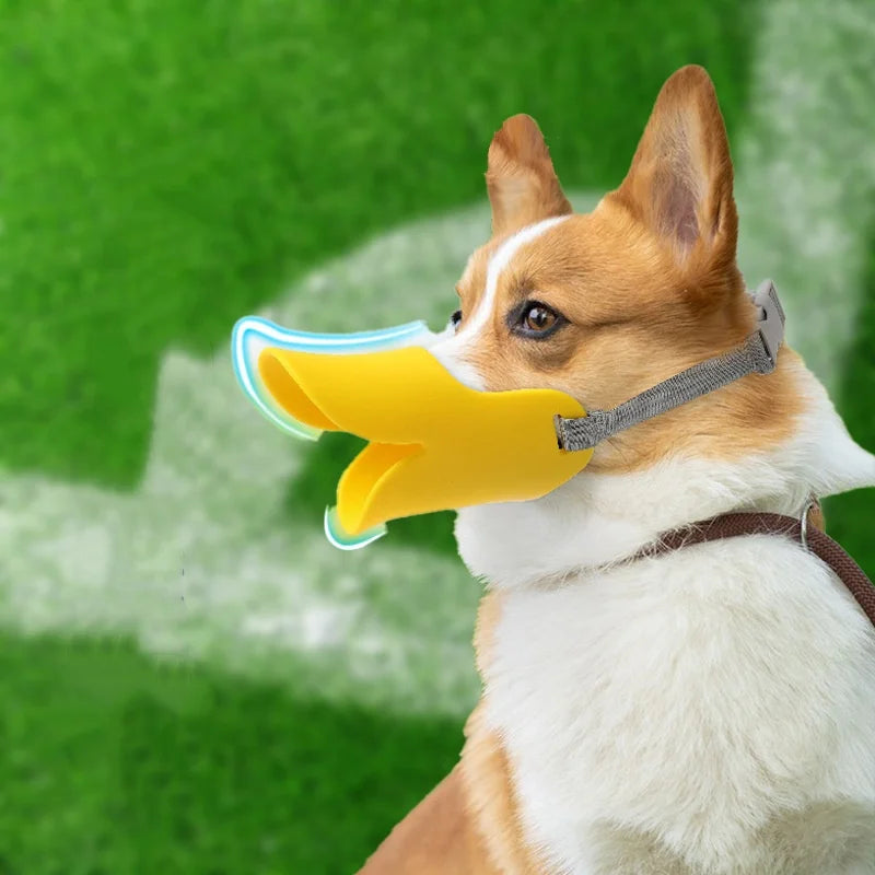 Duck Beak Dog Muzzle