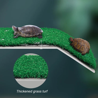Turtle Basking Platform Ramp