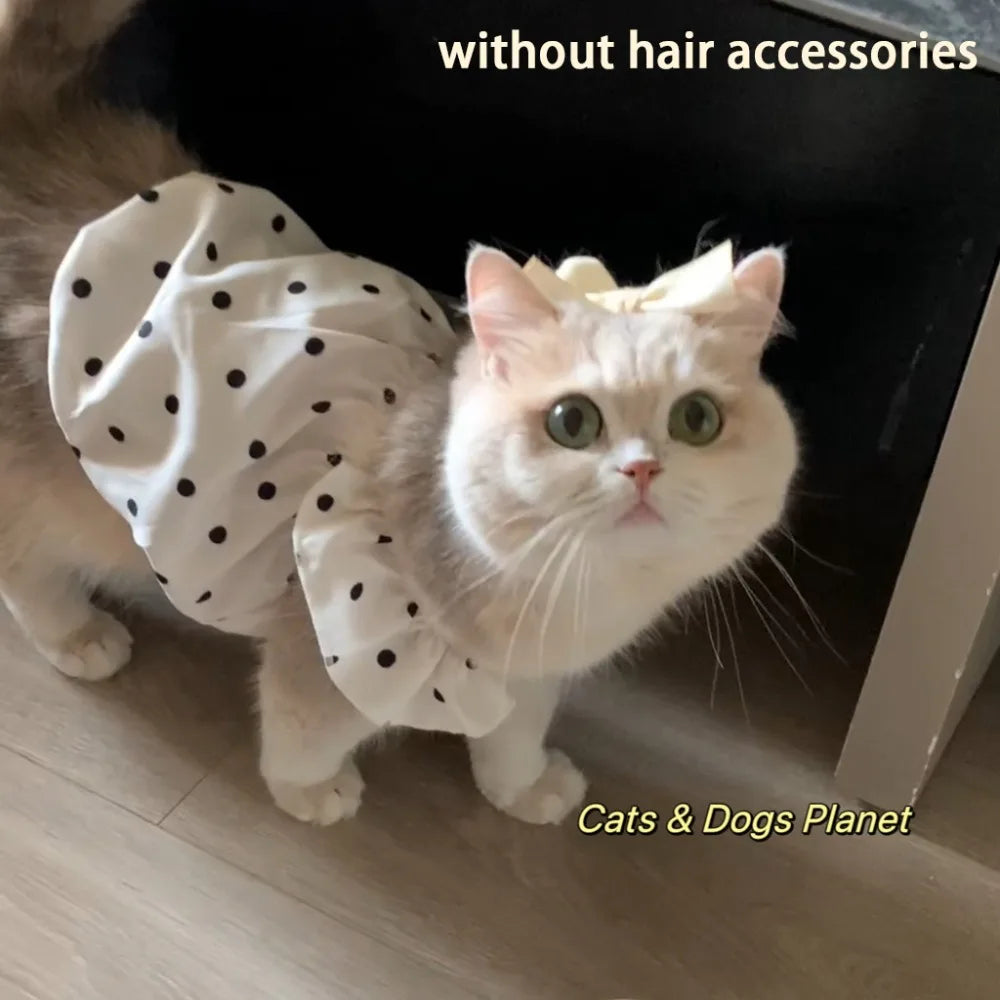Polka Dot Princess Pet Dress for Cats & Small Dogs