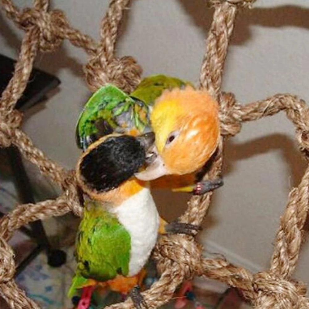 Bird Climbing Rope Net & Wooden Ladder Toy Set