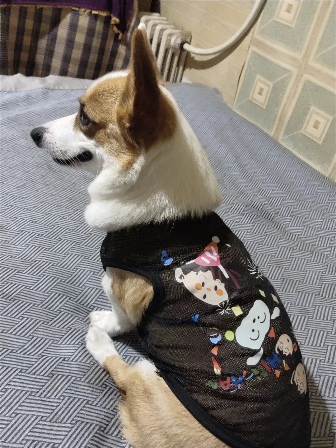 Breathable Mesh Summer Dog Vest