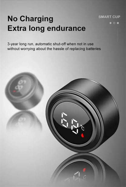 Smart Temperature Display Thermos Bottle