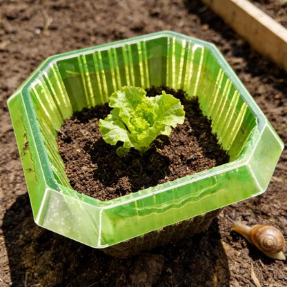 Garden Plant Protective Cloches