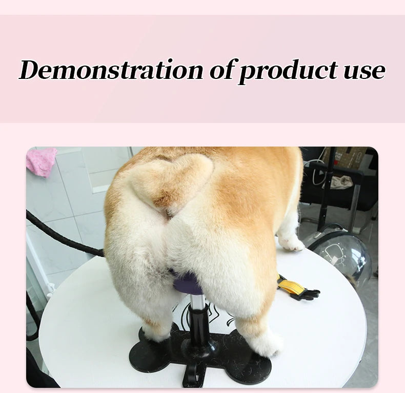 Adjustable Dog Grooming Standing Support Holder