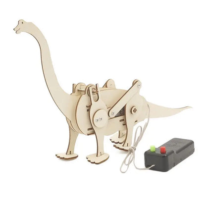 DIY Science Toys