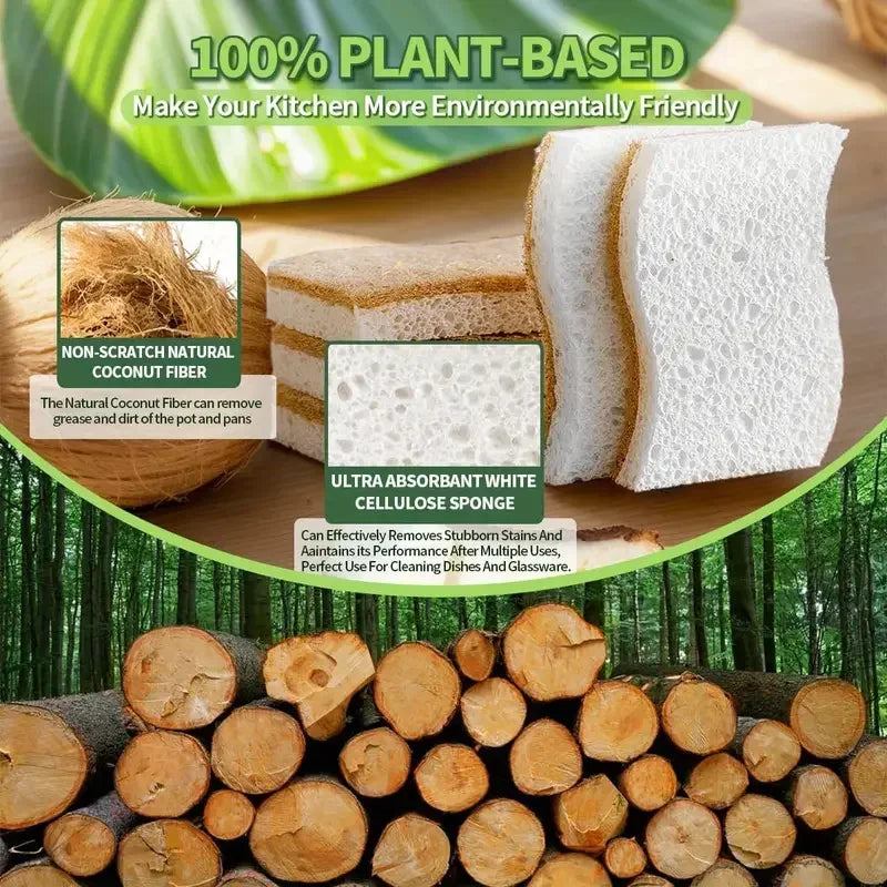 Natural Cellulose & Coconut Kitchen Sponges