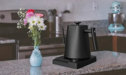 Stainless Steel Variable Temperature Gooseneck Coffee & Tea Kettle