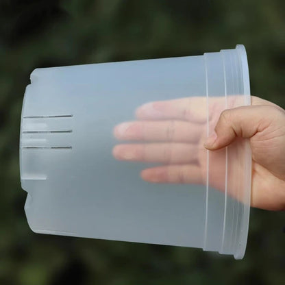 Transparent Nursery Plant Pot