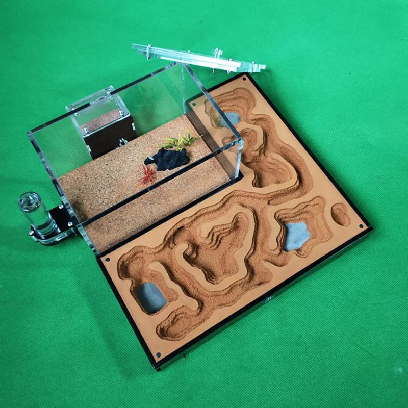 Large Acrylic Ant Farm with Gypsum Nest & Observation Arena
