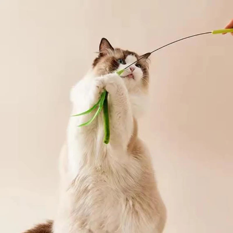 Feather Wand Cat Teaser Toy