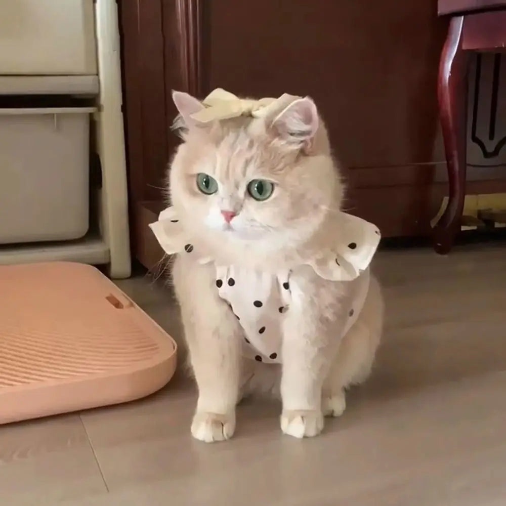 Polka Dot Princess Pet Dress for Cats & Small Dogs