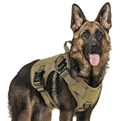 Tactical Dog Training Harness