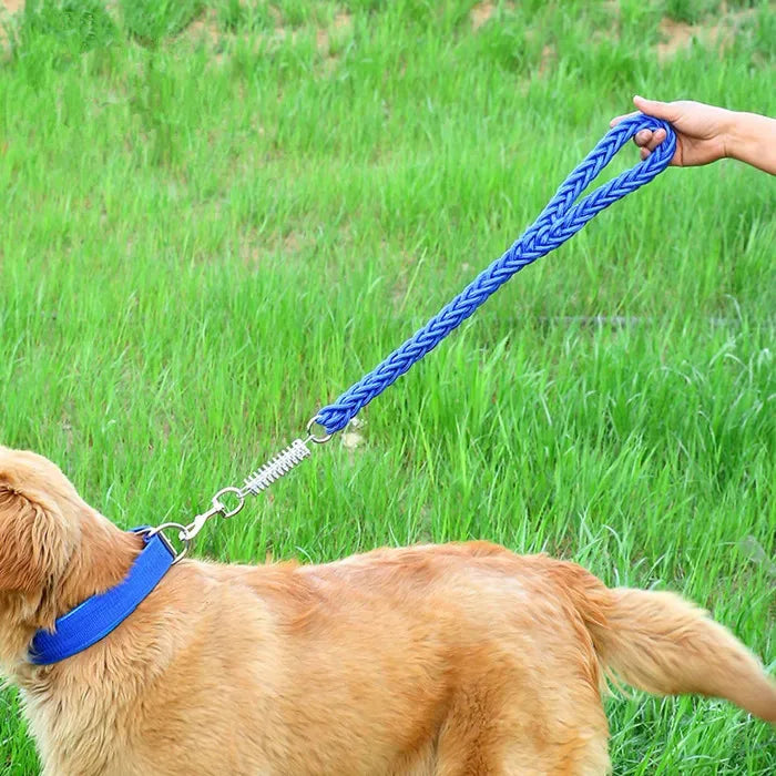Shock Absorbing Dog Leash – Braided Nylon Training Lead