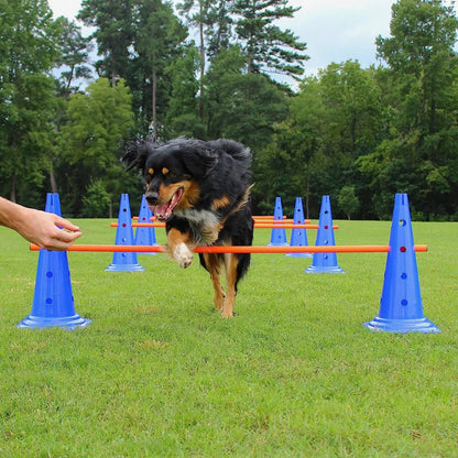 Dog Agility Training Set – Jumping Bar Obstacle Equipment