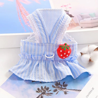 Cute Summer Dress for Dogs & Cats