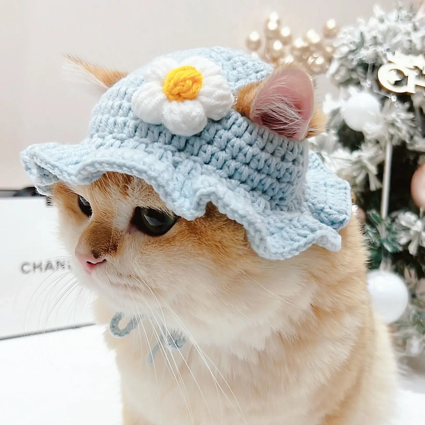 Autumn & Winter Knitted Cat Hat