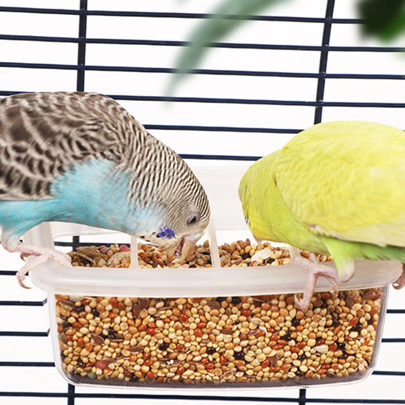 Transparent Spill-Proof Bird Feeder & Water Dispenser