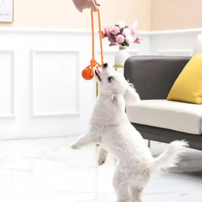 Interactive Cotton Rope Ball Toy for Fetch & Tug Play