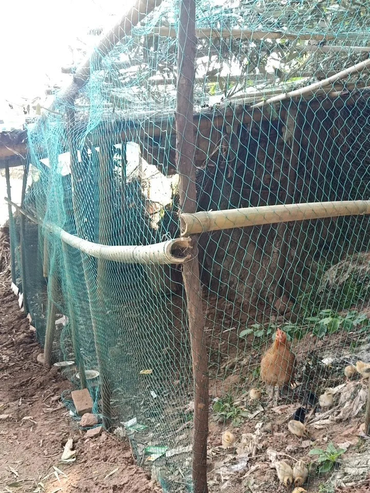 Heavy Duty Garden Protection Netting