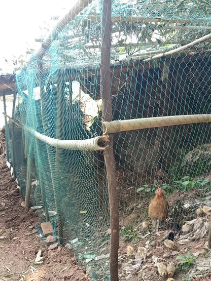 Heavy Duty Garden Protection Netting
