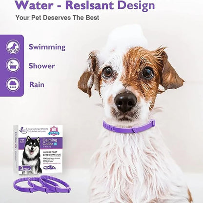 Calming Pheromone Collar for Dogs & Cats