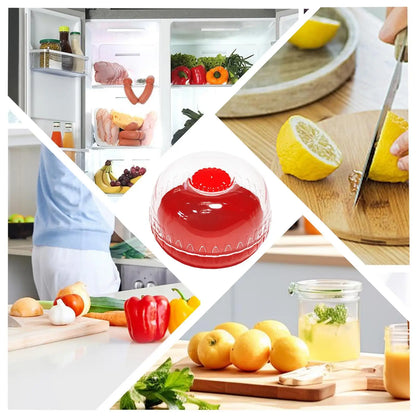 Fruit Preservation Box