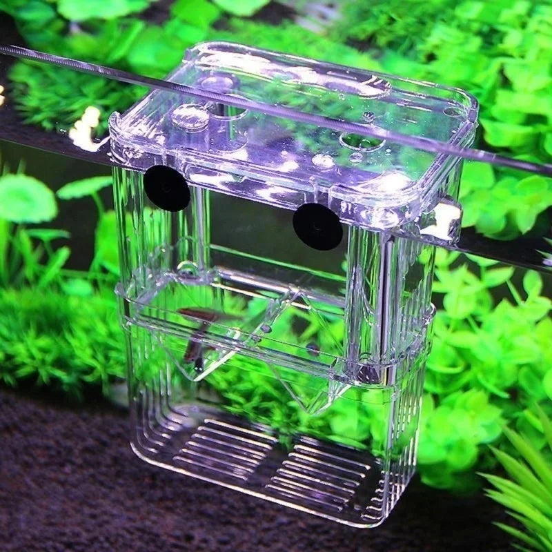 Aquarium Fish Breeding Isolation Box