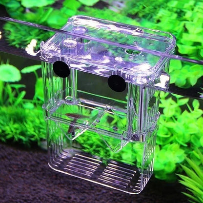 Aquarium Fish Breeding Isolation Box