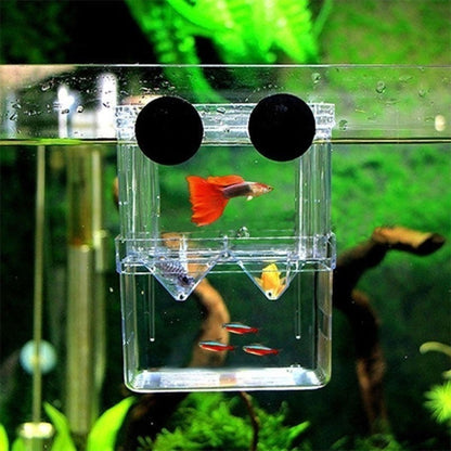 Aquarium Fish Breeding Isolation Box