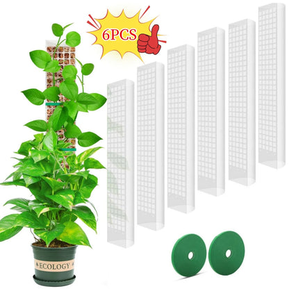 Transparent Plant Moss Pole Support